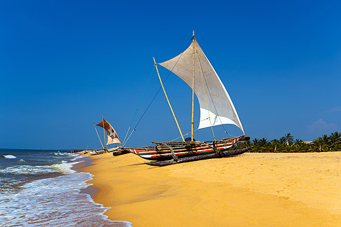 Sri Lanka Rundreise Schätze des indischen Ozeans