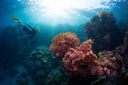Barr Reef Sanctuary auf Sri Lanka